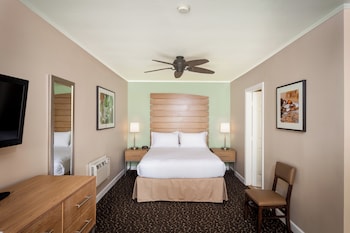 Standard Room, 1 Queen Bed, Accessible (Mobility, Roll-In Shower)
