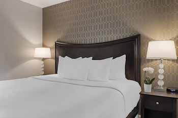 Suite, 1 King Bed
