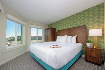 Suite, 1 King Bed