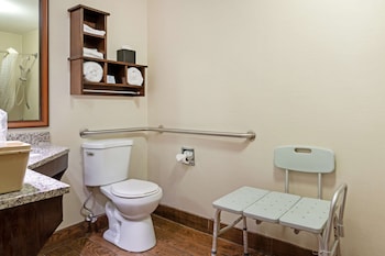 Standard Room, 1 King Bed, Accessible, Non Smoking
