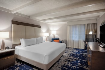 Standard Room, 1 King Bed, Accessible Bathtub (Mobility)