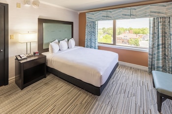 Standard Suite, 1 Queen Bed with Sofa bed, Accessible, City View