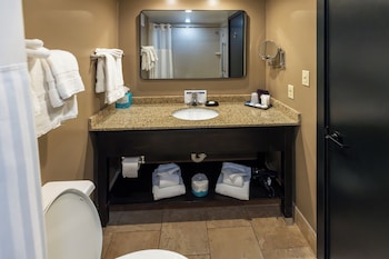 Standard Suite, 1 King Bed with Sofa bed, City View