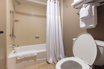 Standard Suite, 1 King Bed with Sofa bed, Park View