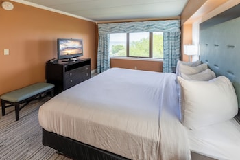 Standard Suite, 1 King Bed with Sofa bed, Park View