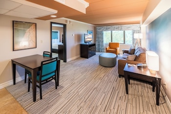 Standard Suite, 1 King Bed with Sofa bed, Park View