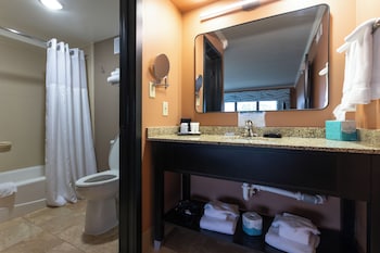 Standard Suite, 1 King Bed with Sofa bed, Park View