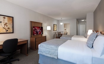 Studio Suite, 2 Double Beds