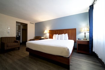 Standard Room, 1 King Bed, Non Smoking