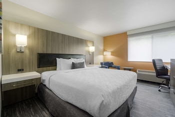 Standard Room, 1 King Bed, Accessible, Refrigerator & Microwave