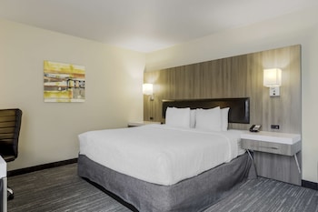 Standard Room, 1 King Bed, Accessible, Refrigerator & Microwave