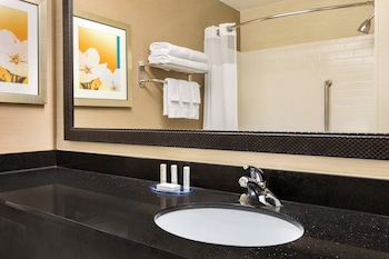 Executive Suite, 1 King Bed with Sofa bed
