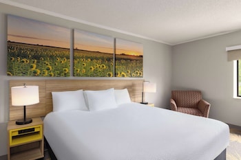 Room, 1 King Bed, Non Smoking