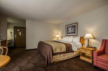 Suite, 1 King Bed, Non Smoking, Kitchen