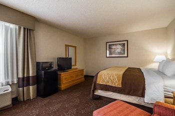 Standard Room, 1 King Bed, Accessible, Non Smoking