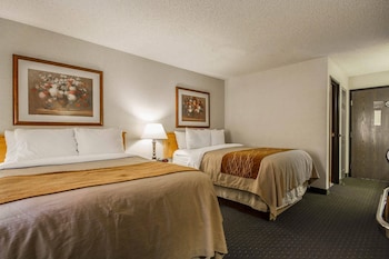 Standard Double Room, 2 Double Beds, Non Smoking