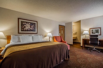 Standard Room, 1 King Bed, Accessible, Non Smoking