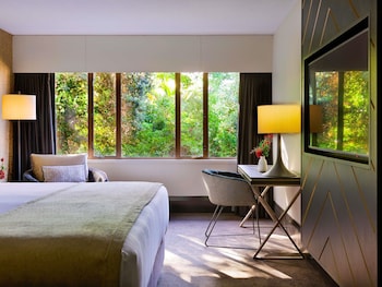 Superior Room, 1 King Bed