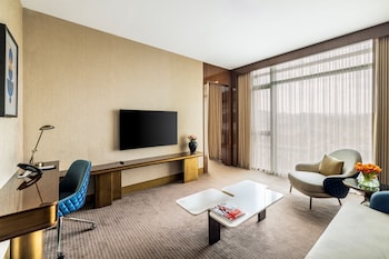 Luxury Apartment