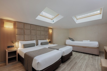 Triple Room (Buhardilla)