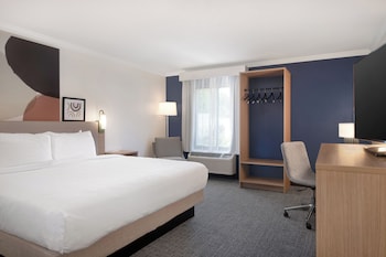 Room, 1 King Bed