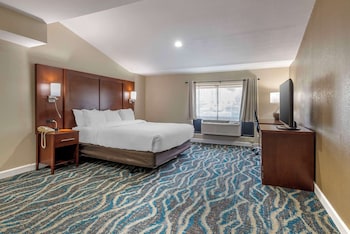 Suite, 1 King Bed with Sofa bed, Non Smoking