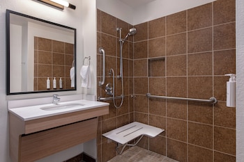 Room, 1 Queen Bed, Accessible (Roll-In Shower)