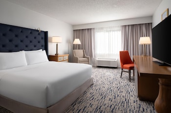 Room, 1 King Bed, Accessible (Roll-in Shower)
