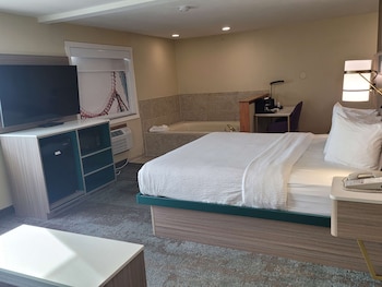 Standard Room, 1 King Bed, Non Smoking, Jetted Tub (with Sofabed)