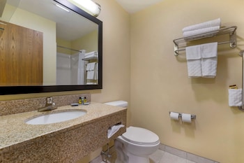Standard Room, 1 King Bed, Non Smoking, Jetted Tub (with Sofabed)