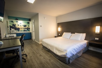 King Bed Accessible Non-Smoking (Pet)
