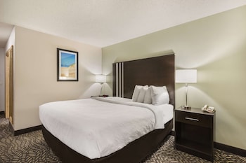 Standard Room, 1 King Bed, Accessible, Refrigerator & Microwave (Walk-in Shower)