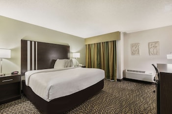 Standard Room, 1 King Bed, Accessible, Refrigerator & Microwave (Walk-in Shower)