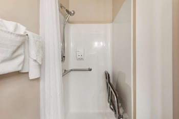 Standard Room, 1 King Bed, Accessible, Refrigerator & Microwave (Walk-in Shower)