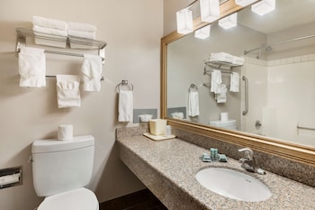 Standard Room, 1 King Bed, Non Smoking, Refrigerator & Microwave