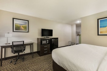 Standard Room, 1 King Bed, Accessible, Refrigerator & Microwave (Walk-in Shower)