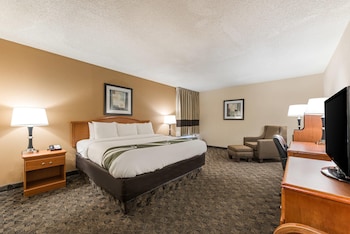 Standard Room, 1 King Bed, Non Smoking