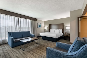 Standard Room, 1 King Bed, Non Smoking, Refrigerator & Microwave (with Single Sofabed)