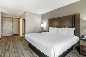 Standard Room, 1 King Bed, Accessible, Refrigerator & Microwave