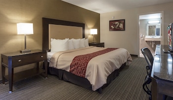 Superior Room, 1 King Bed, Non Smoking