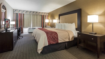 Superior Room, 1 King Bed, Non Smoking