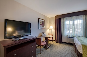 Suite, 1 King Bed, Non Smoking, Refrigerator & Microwave (with Sofabed)