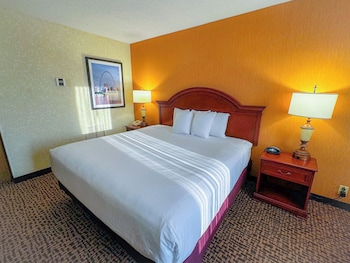 Room, 1 King Bed, Non Smoking