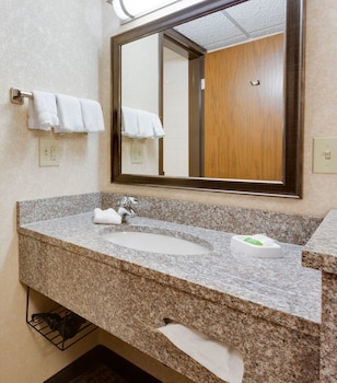 Room, 1 Queen Bed, Mobility Accessible, Non Smoking (Hearing, Tub w/ Grab Bars)