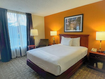 Room, 1 Queen Bed, Mobility Accessible, Non Smoking (Hearing, Tub w/ Grab Bars)