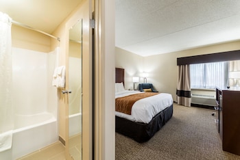 Standard Room, 1 King Bed, Non Smoking