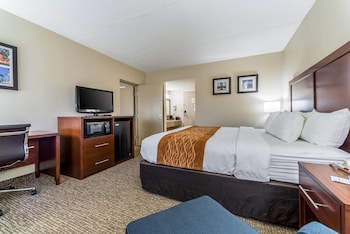 Standard Room, 1 King Bed, Non Smoking