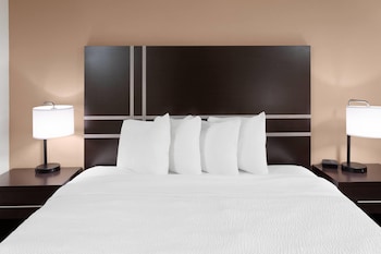 Room, 1 King Bed, Non Smoking (No Pets)