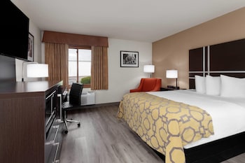 Room, 1 Queen Bed, Non Smoking (No Pets)