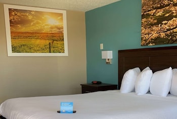 Room, 1 Queen Bed, Accessible